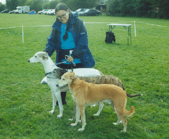 Bobster, Tamsin and Taz